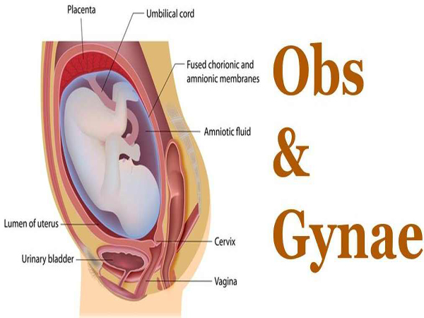 obs-gyneac